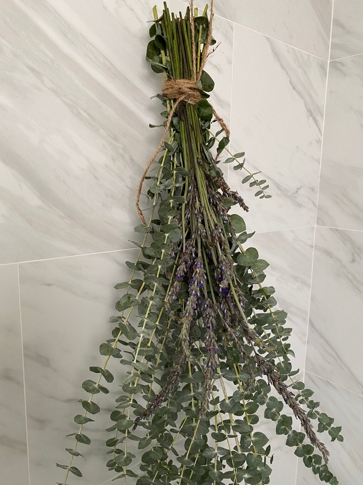 Eucalyptus Shower Bundle with Fresh Lavender