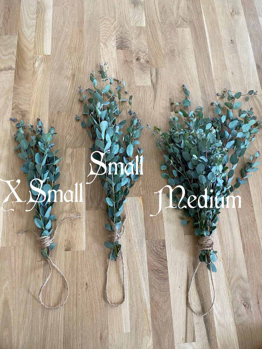 Eucalyptus Shower Subscription Botanica Fleur