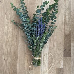 Luxe Eucalyptus Fresh Rosemary, Fresh Lavender , Aromatherapy Shower Bundle