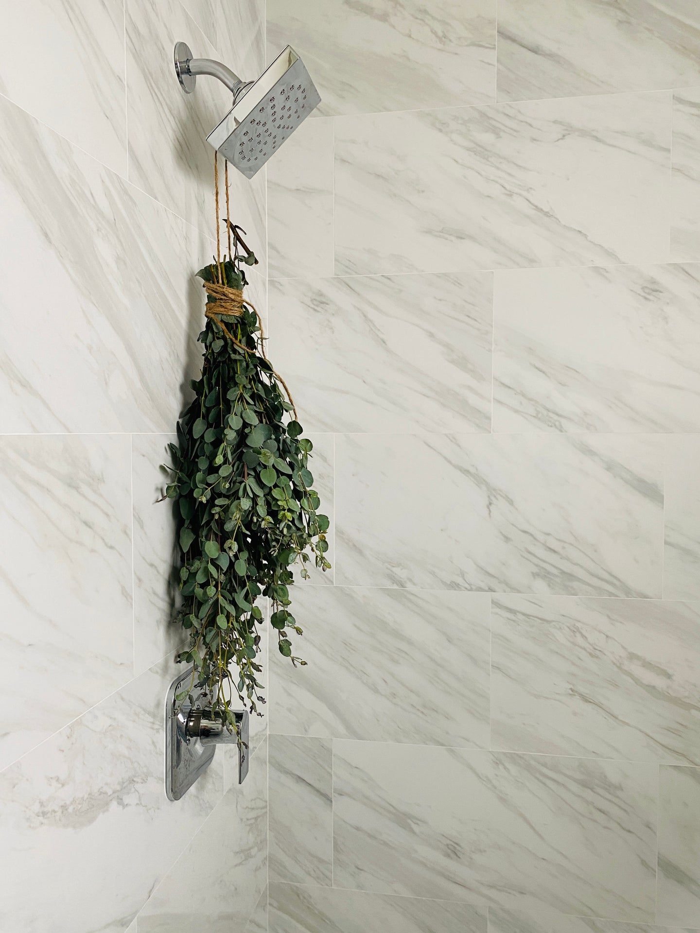 Eucalyptus Shower Bundle