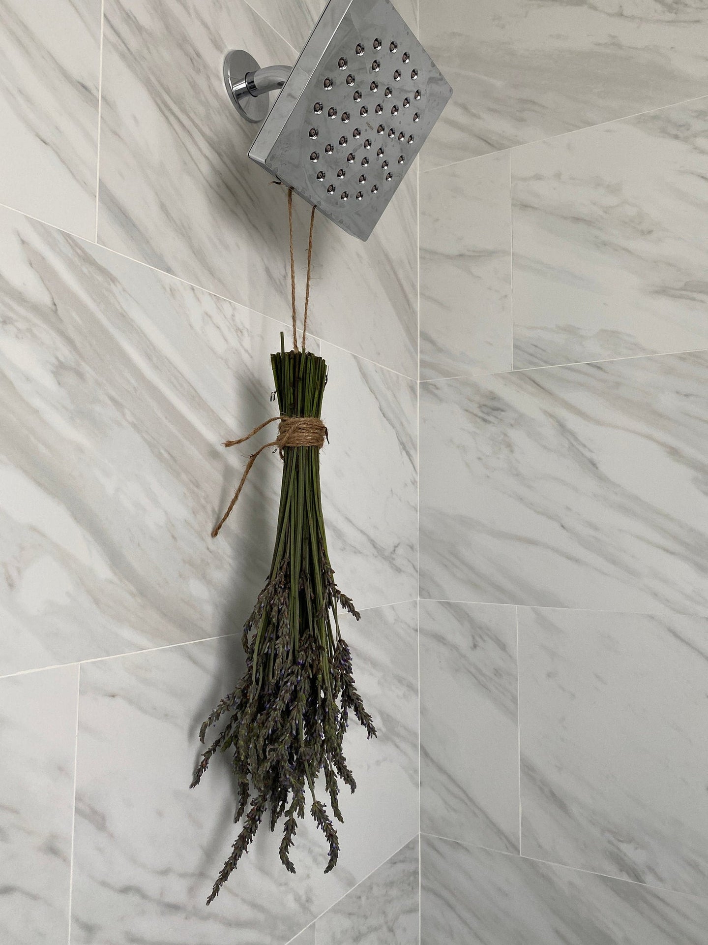 Shower Fresh Lavender Bundle