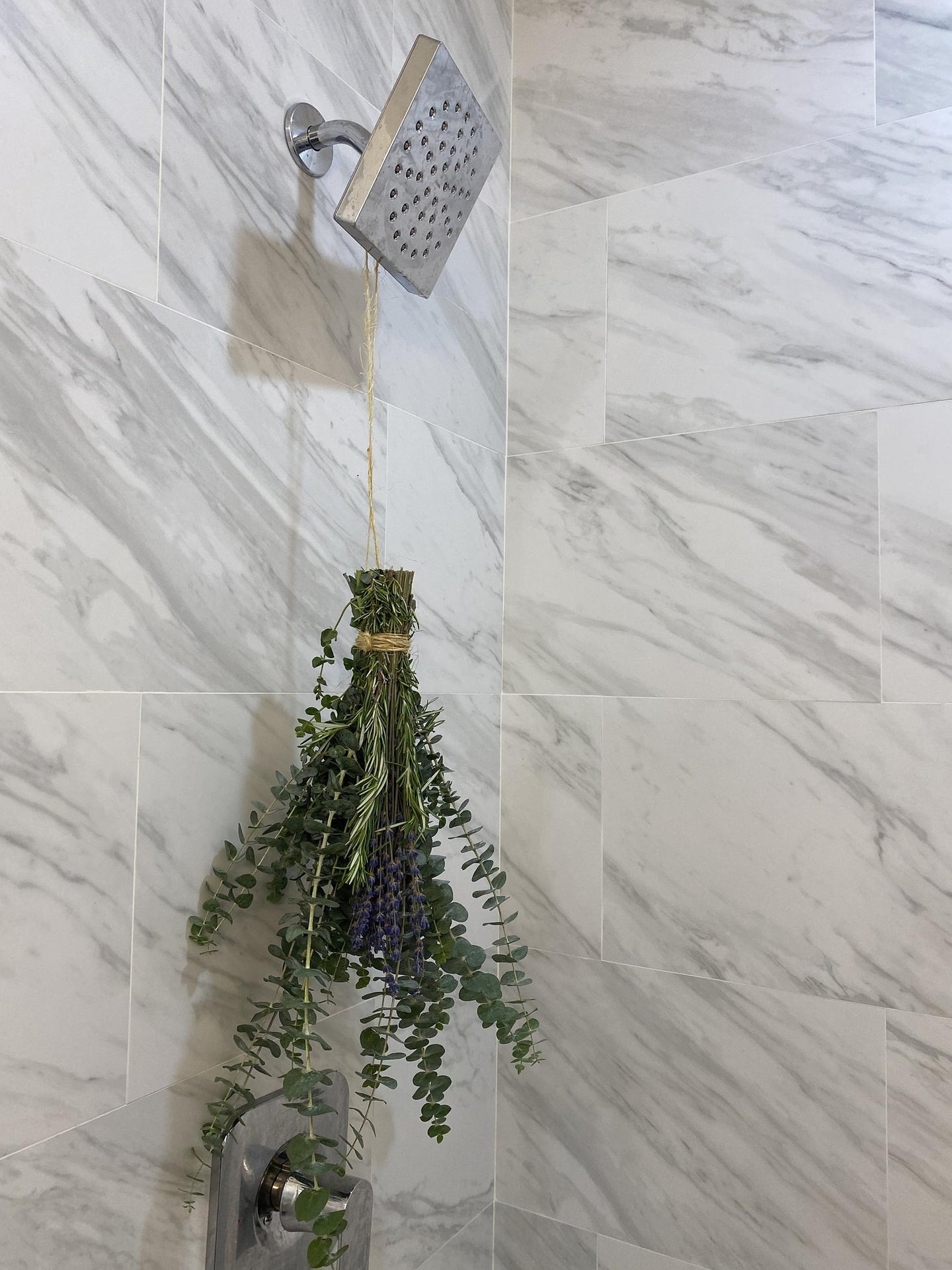 Luxe Eucalyptus Fresh Rosemary, Fresh Lavender , Aromatherapy Shower Bundle