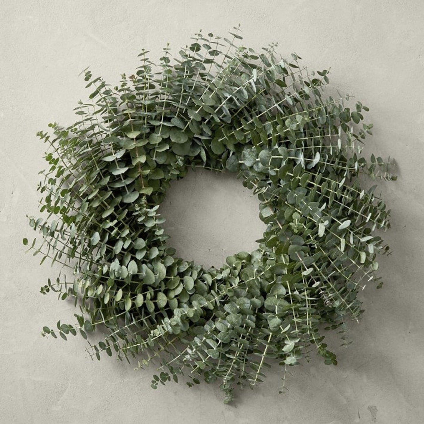 Fresh Baby Blue Eucalyptus Wreath