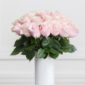 Pink Roses